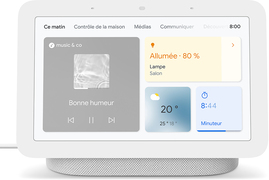 Google Nest Hub 2nd gen