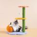 Happy&Polly Kattenboom met sisal krabpaal: klimboom voor kittens 68 cm - natuurlijk stabiel, schattig