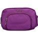 Alviero Martini Sac violon