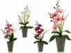 Ibergarden Decoratieve plant Orchidee Plastic 8 x 35 x 14 cm (12 Stuks) Lila/Paars/Roze/Wit