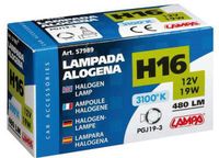 Lampa H16 12V 19W PGJ19-3