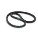 Ina FB 10X788 tandriem