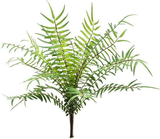 Emerald Fern blechnum bush 25 cm kunstbloem zijde nepbloem
