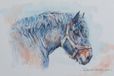 Tableau de chevaux de trait TW29 - Toile - Ton van der Weerden - 50 x 70 cm - marron