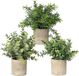 Unyqoos® lot de 3 mini plantes artificielles