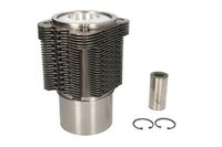 KS Kolbenschmidt 90 669 960 Assembly