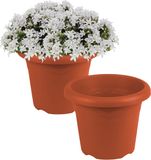 Hega Hogar Plantenbak - 2x - Terra cotta - kunststof - D18 x H14 cm