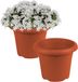 Hega Hogar Plantenbak - 2x - Terra cotta - kunststof - D18 x H14 cm