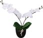 vidaXL Kunstplant orchidee met pot 30 cm wit