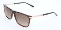 Pierre Cardin P.C. 6177/S Striped brown matt light gold 57/16/145 MAN Zonnebrillen