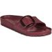 BIRKENSTOCK Muiltjes 'Madrid' wijnrood