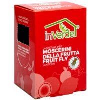 InVerde Fruitvliegen Fruitvliegen Monitoringval – Effectieve en Gifvrije Detectie van Fruitvliegjes