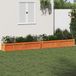 Prolenta Maison Exclusive - Plantenbakken, 2 stuks, wasbruin, massief grenenhout