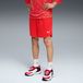 PUMA Short d’entraînement de basketball teamJAWS Homme, Vêtements, Rouge, XS