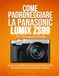 COME Panasonic COME PADRONEGGIARE LA PANASONIC LUMIX ZS99 PER PRINCIPIANTI ASSOLUTI: Scopri i consigli dei professionisti per scatti straordinari con la fotografia creativa