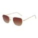 Funky Buddha Sunglasses FBS2030 002 48