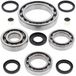 Afdichtingsset/lager All Balls Afdichtingsset/lager differentieel compleet All Balls voor Polaris Sportsman Twin EFI MV7 X2 700 cc