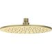 IVY Hoofddouche Medium 25 cm - RVS316 Geborsteld Mat Goud