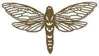 Sizzix Thinlits Die-Perspective Moth van Tim Holtz, 665434, veelkleurig, één maat