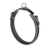Ferplast Hondenhalsband ERGOCOMFORT, Halsband voor middelgrote honden, sluiting met micro-aanpassing, zachte voering, snelsluiting, zilver