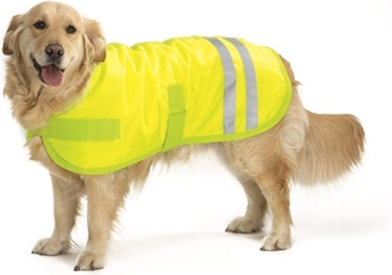 Beeztees Teddie - Hondenjas - Reflecterend - Geel - 50 cm