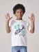 VERTBAUDET Jongensshirt met fotoprint wit