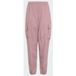 ADIDAS TERREX Pantalon outdoor 'Xploric CLIMA365' mauve