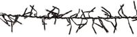 Anna's Collection Cluster de lumières LED classiques 3072l/18m avec minuterie