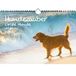 Hondenmagie Kalender 2024