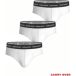 Björn Borg Slip (x3)