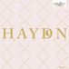 Brilliant Classics Various Artists - Haydn Edition (160 CD)