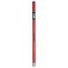 Daiwa Aiguille à Vers Baiting Tube