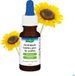A.Vogel Oordruppels Oordop 20 ml