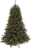 Triumph Tree Forest Frosted Sapin artificiel avec éclairage - Sapin artificiel H185 x Ø130 cm - Vert