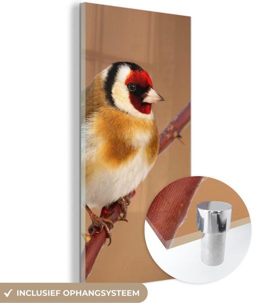 MuchoWow® Glass Painting 40x80 cm - Acrylic Glass Painting - Goldfinch - Bird - Animals - Photo on Glass - Paintings