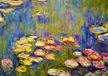 Bluebird Puzzle Claude Monet Nymphéas 1000 pièces