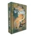 Blackrock Games - The Last Wizard – risicokaartspel – vanaf 10 jaar – 3 tot 6 spelers – Parijs en Bluff – Spiral Editions