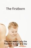 The Icecat The firstborn