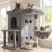 Merkloos Kattenhuis kattenboom - 65 cm - Met bovenplatform - Zacht pluche - Grijs