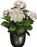 Mica Decorations Kunstplant Hortensia 45 cm - Paars/Groen - In Pot Titanium Grijs Glans