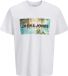 JACK&JONES - JJINDIANA TEE SS CREW NECK LN - Heren - T-shirts - S - Katoen - Korte mouw - Helder wit