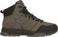 WHISTLER Outdoorstiefel Rylan Heren Groen