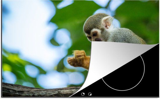 KitchenYeah® Inductie beschermer 77x51 cm - Doodskopaapje die naar zijn handen kijkt - Inductie kookplaat accessoire