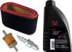 Stiga Bougie d'allumage + filtre + huile SAE30 pour Estate Royal Senator Tornado 1134-9162-01