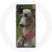 Maniacase Etui voor Samsung Galaxy A21S Greyhound Grijs