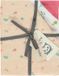 Briljant Baby Hydrofiel Luiers Flower (3 stuks)