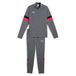 Puma Individual Rise senior voetbaltrainingspak - grijs/rood/zwart