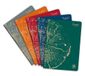 Clairefontaine 68466C Pak met 5 Geniete Notitieboeken Collectie Forever 100% Gerecycled - A4 21x29,7 cm - 96 Pagina's Gelijnd - 90 g Wit Gerecycled Papier - Gerecyclede Kartonnen Omslag - Willekeurige Kleuren