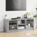 vidaXL meuble TV avec portes vitrées, 102x37x42 cm, couleur béton