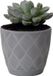 Form Plastic Plantenpot/bloempot New Age - kunststof - platina grijs - D13 x H12 cm - met opvang schotel - rond